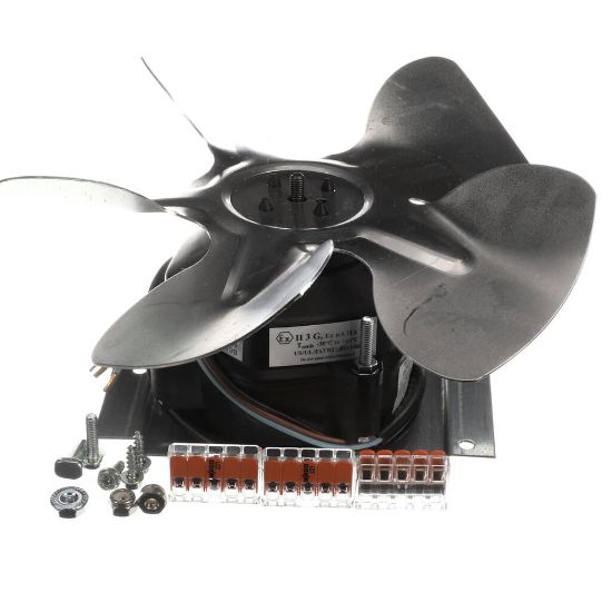 Picture of TRUE Fan Motor Kit 225824 Part# 813042