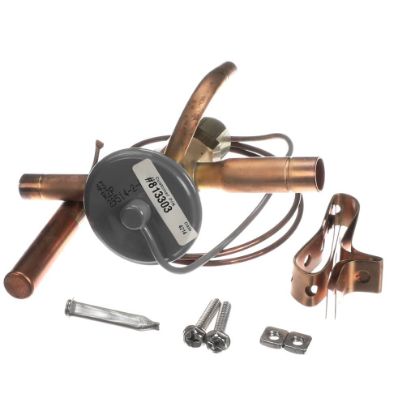 Picture of TRUE Valve Expansion Ebfse-azp, Inlet Strainer Part# 813303