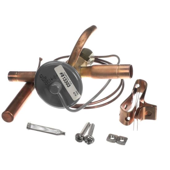 Picture of TRUE Valve Expansion Ebfse-azp, Inlet Strainer Part# 813303