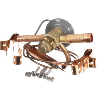 Picture of TRUE Valve Expansion Ebfse-aac, Inlet Strainer Part# 813301