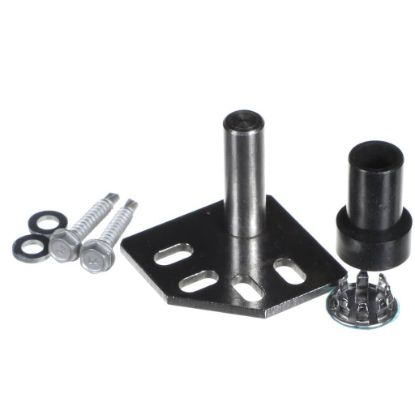 Picture of TRUE Hinge Kit, Door, Top, Reversable Part# 828455