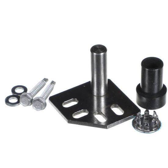 Picture of TRUE Hinge Kit, Door, Top, Reversable Part# 828455