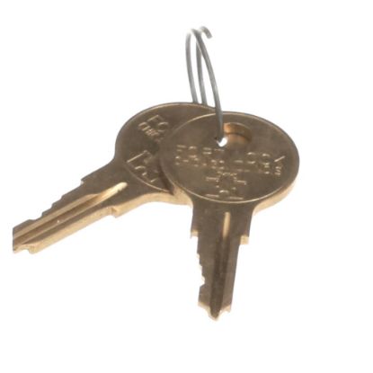 Picture of TRUE Set Of 2 Keys Part# 829424