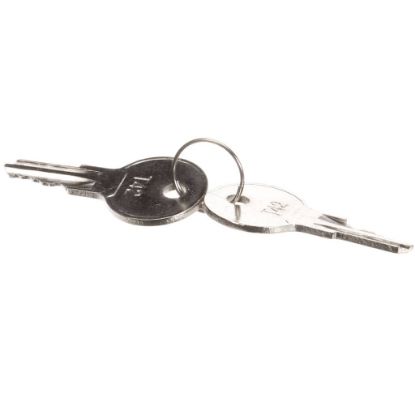 Picture of TRUE Key, T42 -831361 & 912987 Lock For Tr-ri & Rt Mode Part# 831365