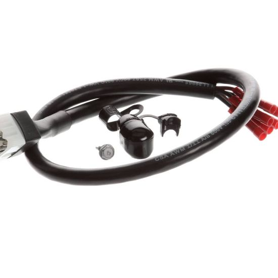 Picture of TRUE Powercord Kit Idl 20 6 Wire Part# 881619