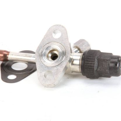Picture of TRUE Valve Kit, Include 1)802303 Discharge & 1)802284 G Part# 884832