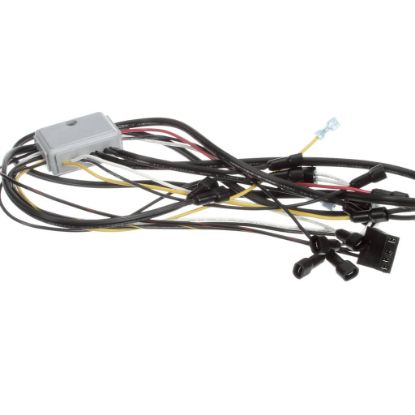 Picture of TRUE Wire Harness, Emf J-1-5 With Wires For Drain Pan H Part# 908554