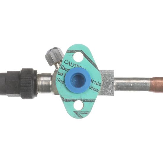 Picture of TRUE Valve Kit Part# 931750