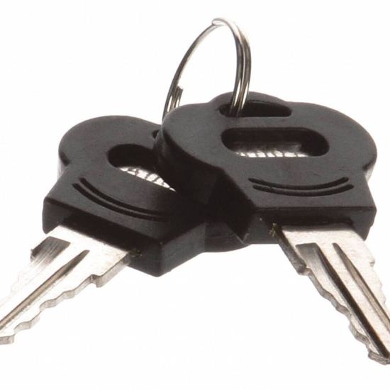 Picture of TRUE Key, # A-001 For Lock 831373 & 917625 Part# 932992