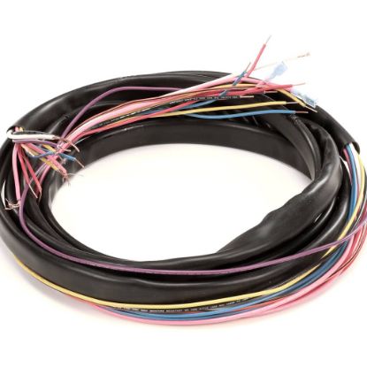 Picture of TRUE Wire Harness, Ups Coolers Part# 971922