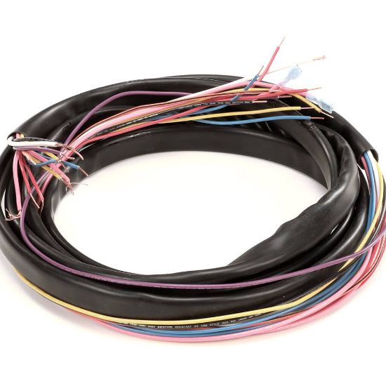 Picture of TRUE Wire Harness, Ups Coolers Part# 971922