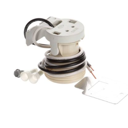 Picture of TRUE Incandescent Lamp Socket Repla Cement Assembly Part# 974812