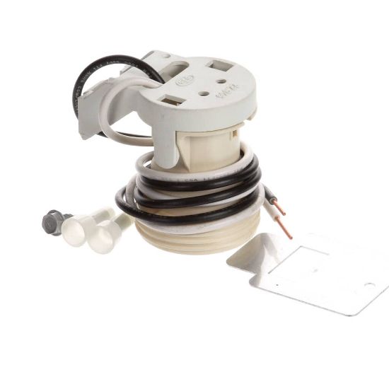 Picture of TRUE Incandescent Lamp Socket Repla Cement Assembly Part# 974812