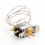 Picture of Turbo Air Thermostat Part# 30283M0710