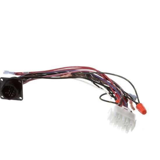 Picture of UltraFryer Cable, Ctl Process U23/401 Basic Part# 12C518