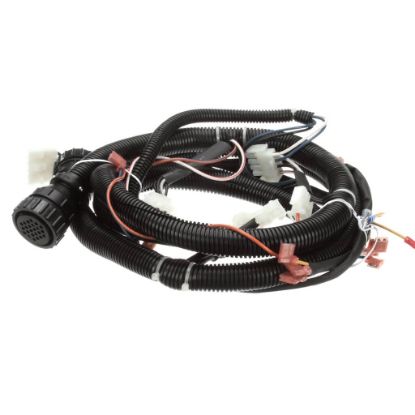 Picture of UltraFryer Cable, Main Bank W/24c Gas Valve & Fan R Part# 22A675