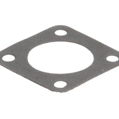 Picture of UltraFryer Gasket, Viking Pump/motor 24239,24A294 Part# 24344