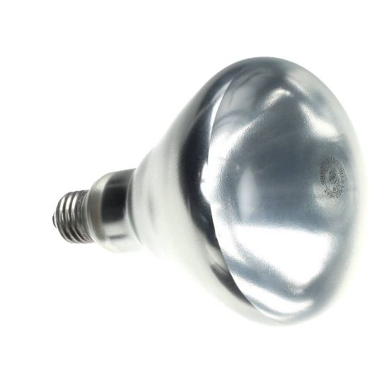 Picture of Vollrath Lamp 250W 120V Clr Shat Res Part# 17501-1