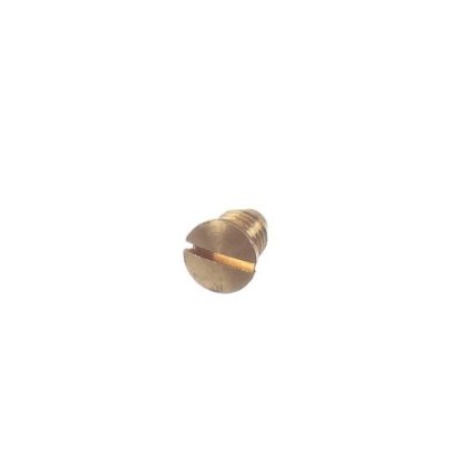 Picture of Vollrath Button Locking Screw Part# XSSL5112