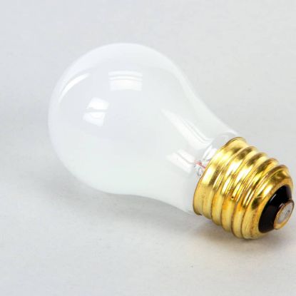 Picture of Vulcan 250V 40W Oven Lamp Part# 00-342766-00002