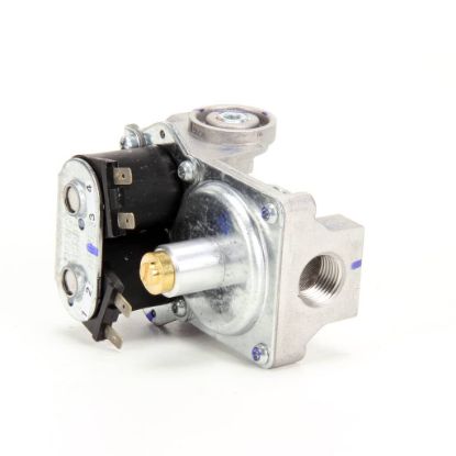Picture of Vulcan Control Valve Nat Part# 00-497269-00001
