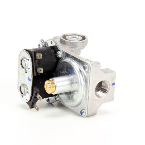 Picture of Vulcan Control Valve Nat Part# 00-497269-00001