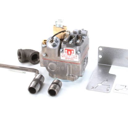 Picture of Vulcan I, Natural Gas Svc Kit Rshaw Valve Part# 00-497616-000G1