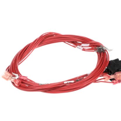 Picture of Vulcan Harness Body Wires Part# 00-497694-000G2