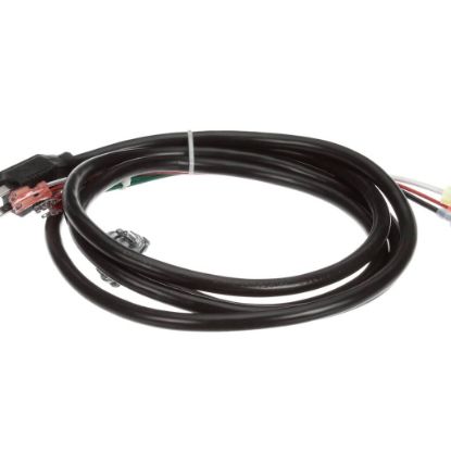 Picture of Vulcan Harness, Griddle Power Cord Part# 00-498209-0000A