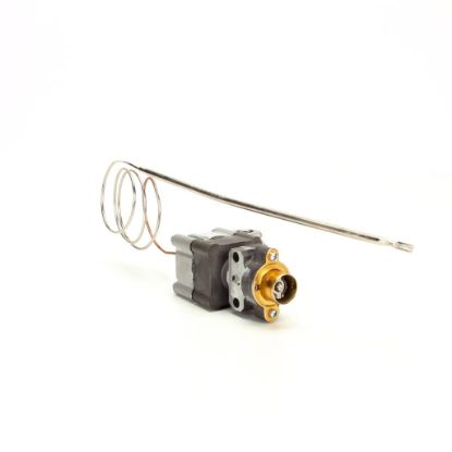 Picture of Vulcan Bjwa Thermostat Part# 00-719362