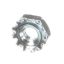 Picture of Vulcan 10-24 Kep Nut Hx/hd Plt Part# 00-730534