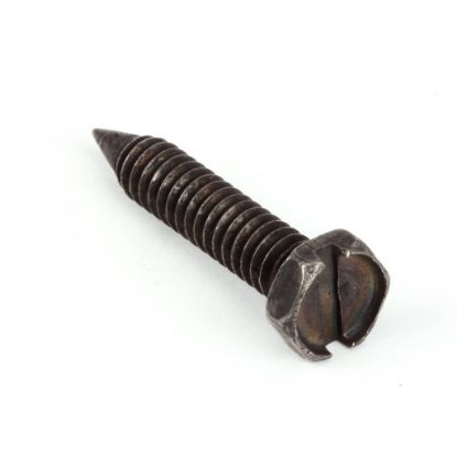 Picture of Vulcan Mounting Screw Part# 00-730028