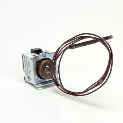 Picture of Vulcan Flame Switch Part# 00-819147