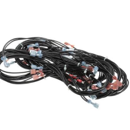 Picture of Vulcan Harness Part# 00-855691-00001