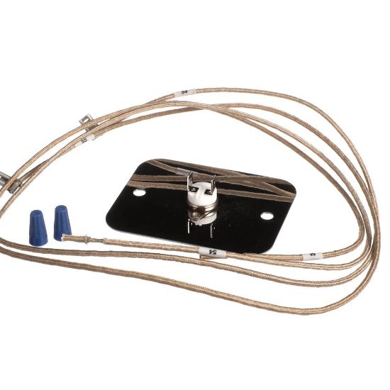 Picture of Vulcan Limit Thermostat Part# 00-958827-000G3