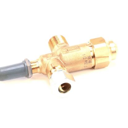 Picture of Vulcan Valve Push-button Safet Y Part# 00-960277