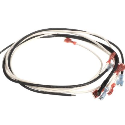 Picture of Wells Wire Kit -Bwb Part# 2E-Z22156