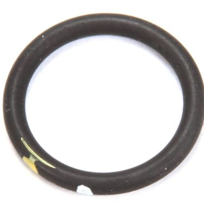 Picture of Wells O-ring Part# 2I-46474