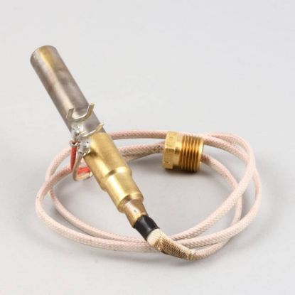 Picture of Wells Thermopile Fgs-40 Part# 2T-42195