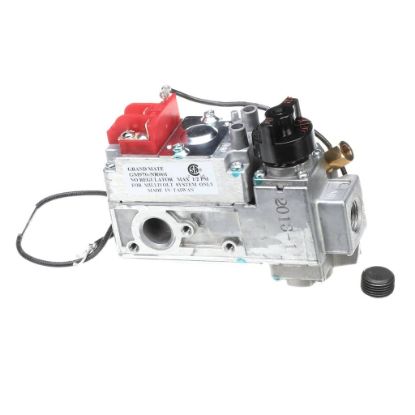 Picture of Wells Vlv, Gas Wg Ser Grid Grandmate Part# WS-WL1000