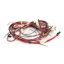 Picture of Whirlpool Wire-harness Part# 5171P934-60