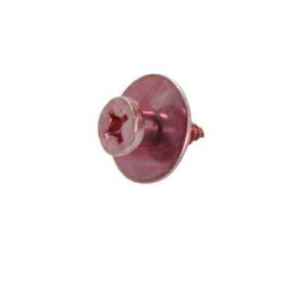 Picture of Whirlpool Screw Part# WP12992902