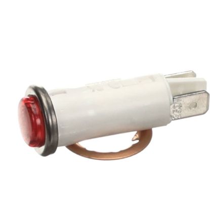 Picture of Curtis Light, Indicator Brew 220V Part# WC-203