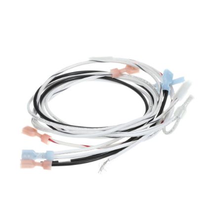 Picture of Curtis Harness Assembly, Warmers 120V Part# WC13200-120