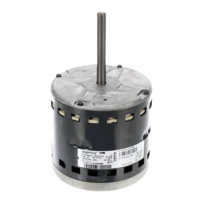 Picture of York Blower Motor,unprogrammable,1/ Part# S1-02435850000