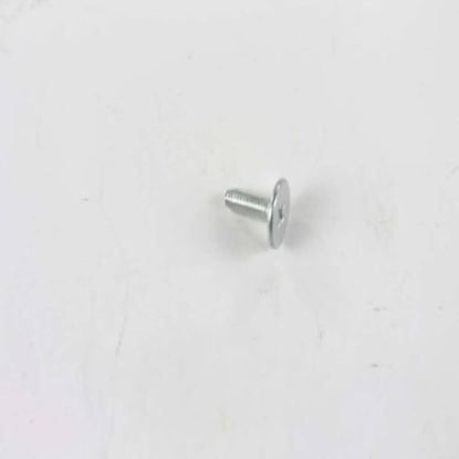 Picture of LG Customized Screw Part# 1SZZJQ3015B