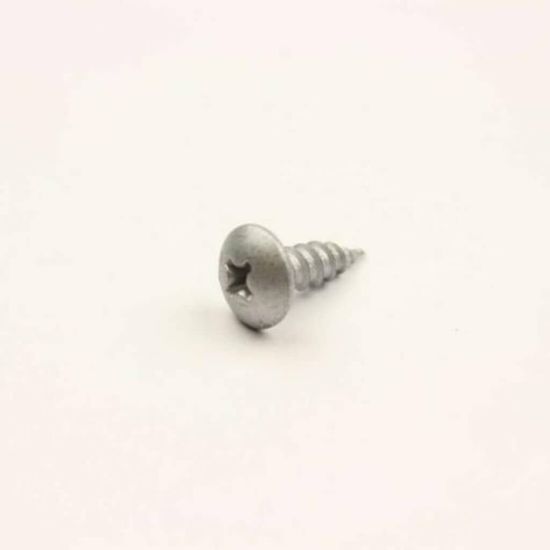 Picture of LG Tapping Screw Part# 1TTG0402817