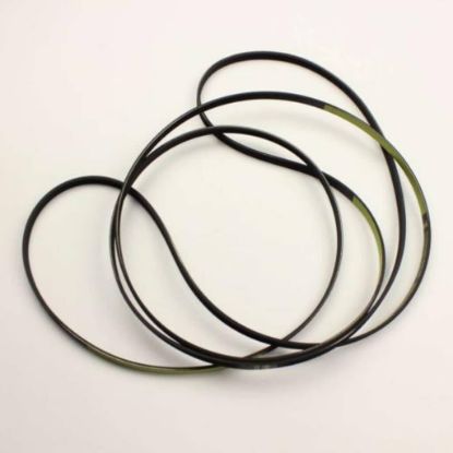 Picture of LG Poly V Belt Part# 4400EL2001D