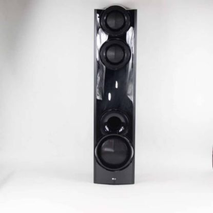 Picture of LG Speaker System Part# TCG36249007